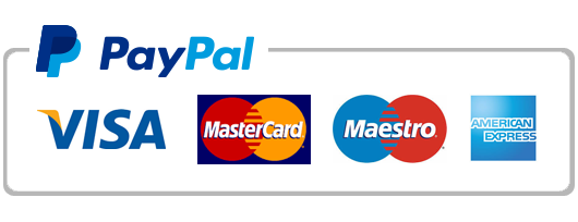 Paypal payment icon